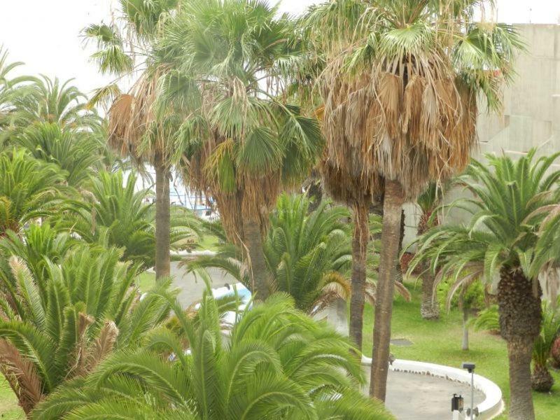 Beach-Front Tenerife Sth Sea And Pool View 코스타델실렌시오 외부 사진